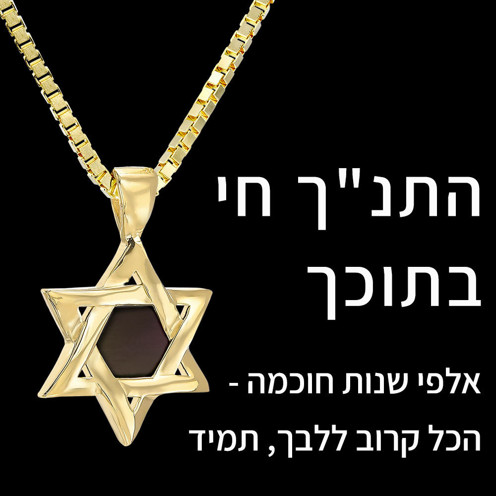 מתנה לחיילת - שרשרת מגן דוד עם התנ