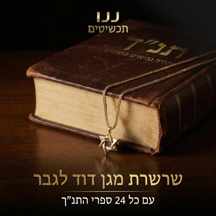  תליוני מגן דוד לגבר עם ננו תנ"ך מבית ננו תכשיטים, בזהב ובגוון כסוף
