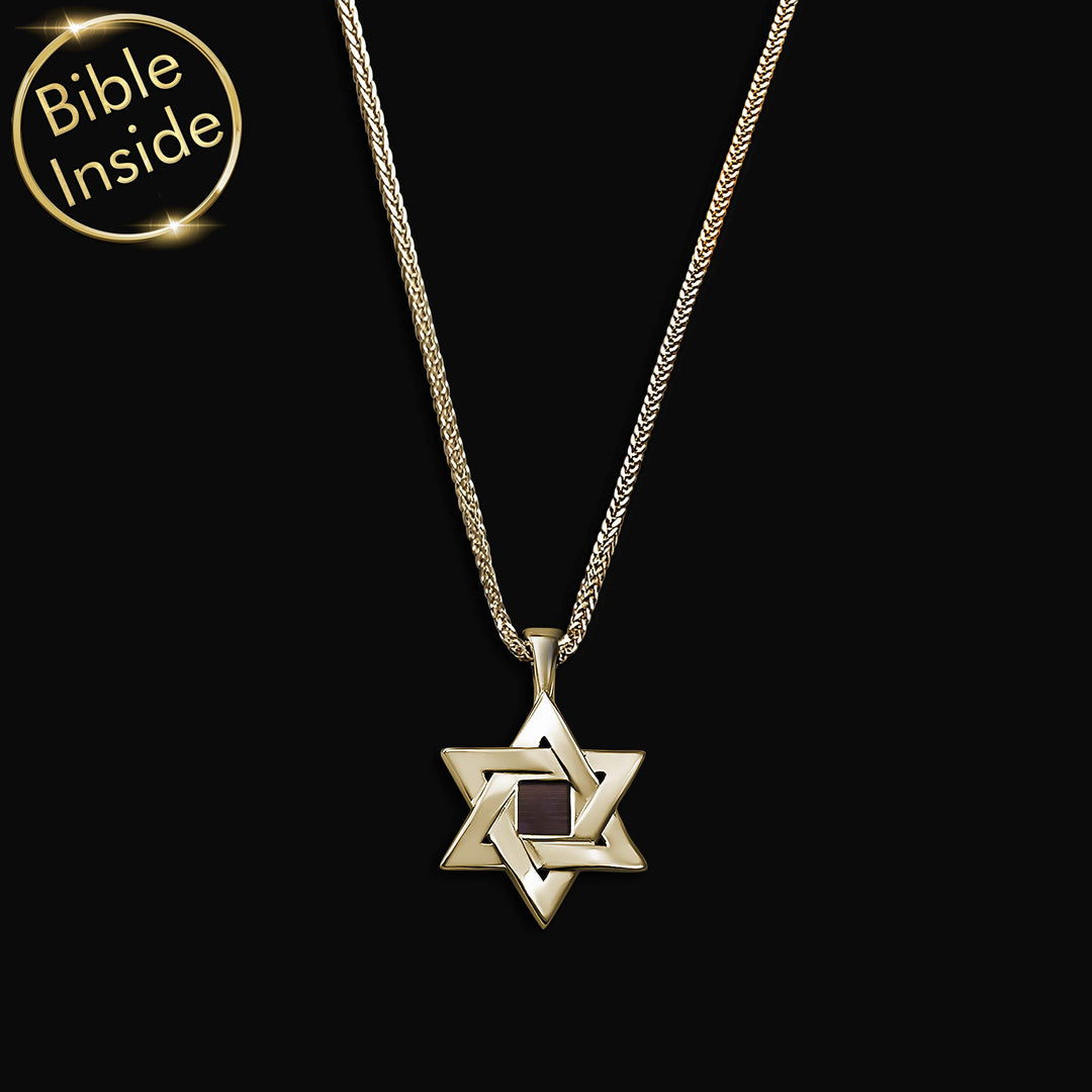 תליון מגן דוד תלת מימדי עם כל 24 סיפרי התנ"ך