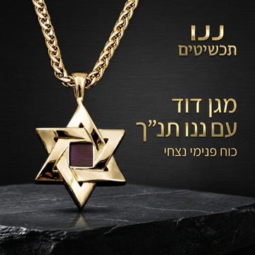 שבב עם כל 24 ספרי התנ