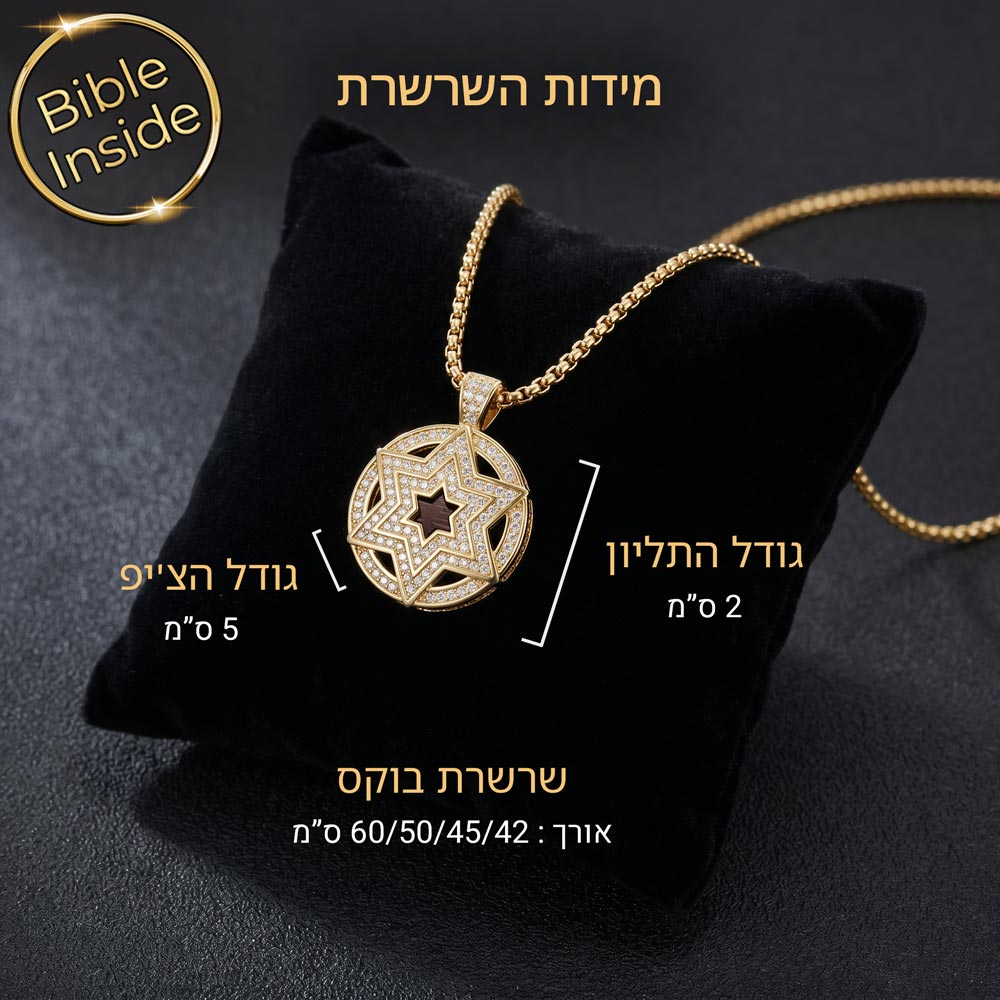 שרשראות עם תנ"ך לגבר - מגן דוד נוצץ עם ננו תנ"ך
