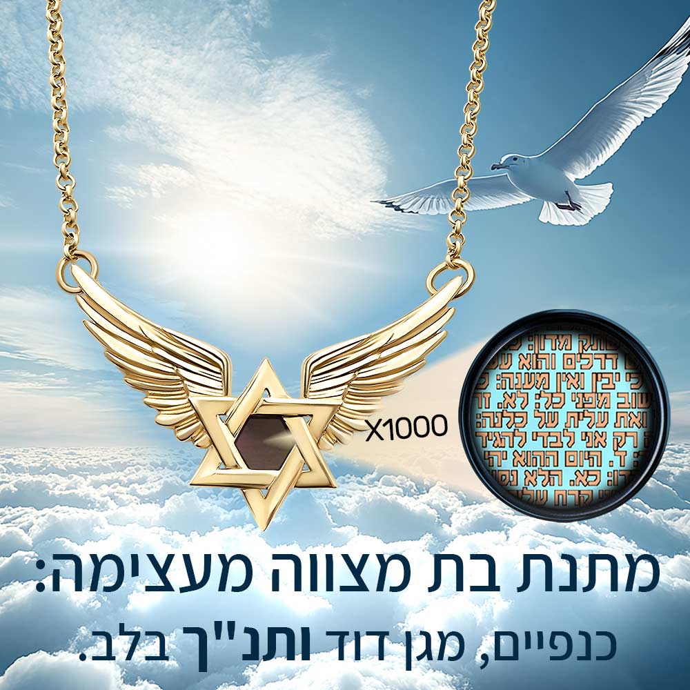 רעיונות מקוריים לבת מצווה — תקריב שבב ננו תנ"ך משובץ במגן דוד