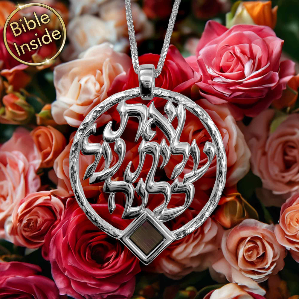 שרשרת כסף 925 תליון אשת חיל עגול עם שבב ננו תנ