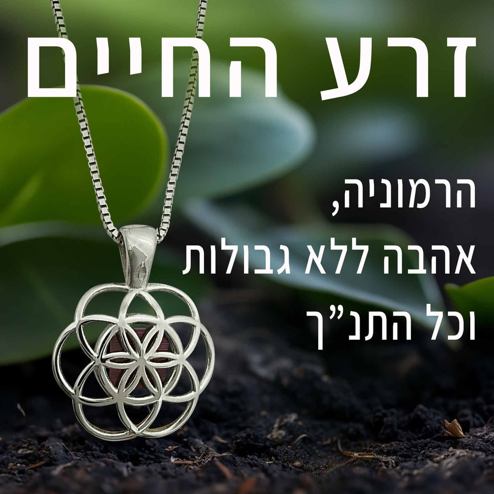 שרשראות מגן דוד לנשים עם כל 24 סיפרי התנ"ך | ננו תכשיטים
