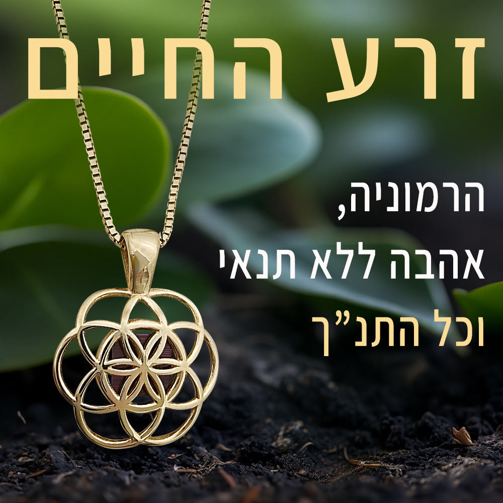 זרע החיים בשרשרת מזהב 14 קראט עם שבב ננו תנ"ך