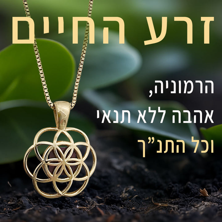 זרע החיים בשרשרת מזהב 14 קראט עם שבב ננו תנ"ך