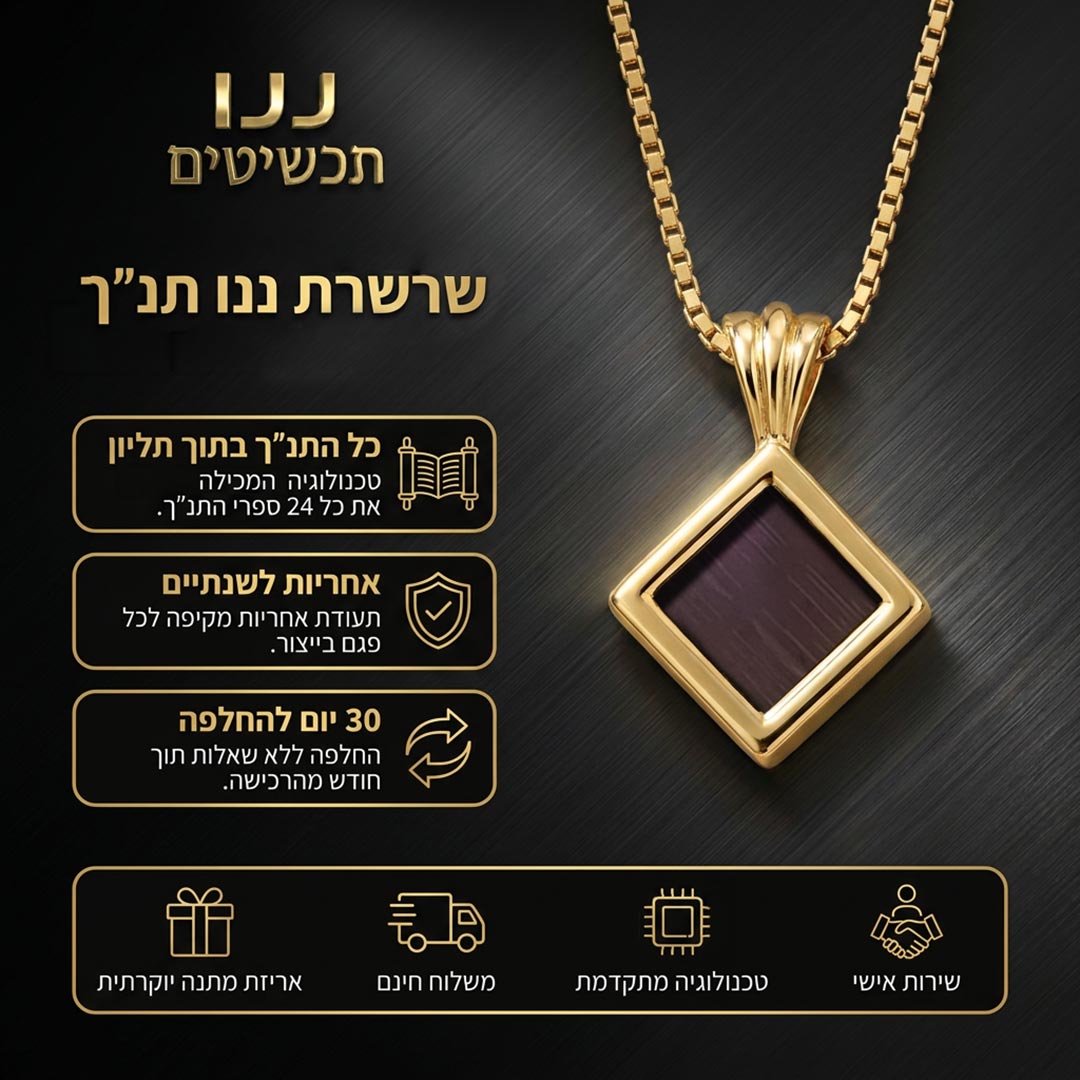 תכשיט עם תנ"ך בצורת מעוין, שבב כהה בתוך מסגרת בגוון זהב