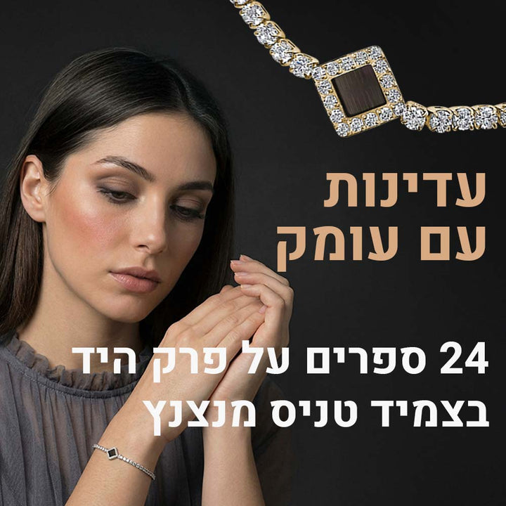 צמיד עם תנך לאישה עם אבנים נוצצות ושבב ננו תנ"ך
