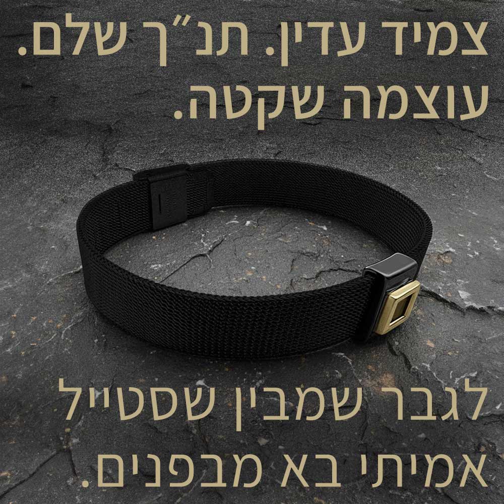 צמיד תנך לגברים | 24 סיפרי התנ"ך בחריטה | מיי ננו תכשיטים