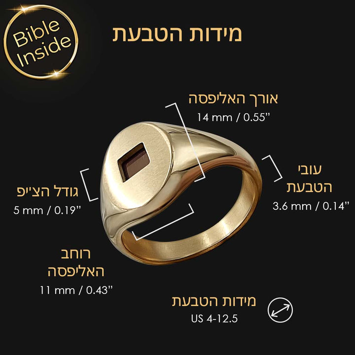 ננו תכשיטים טבעת חותם גברית - מתנה מקורית לבן זוג לטו באב