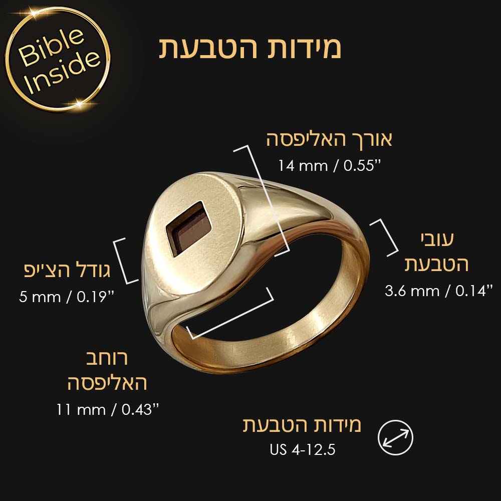 ננו תכשיטים טבעת חותם גברית - מתנה מקורית לבן זוג לטו באב